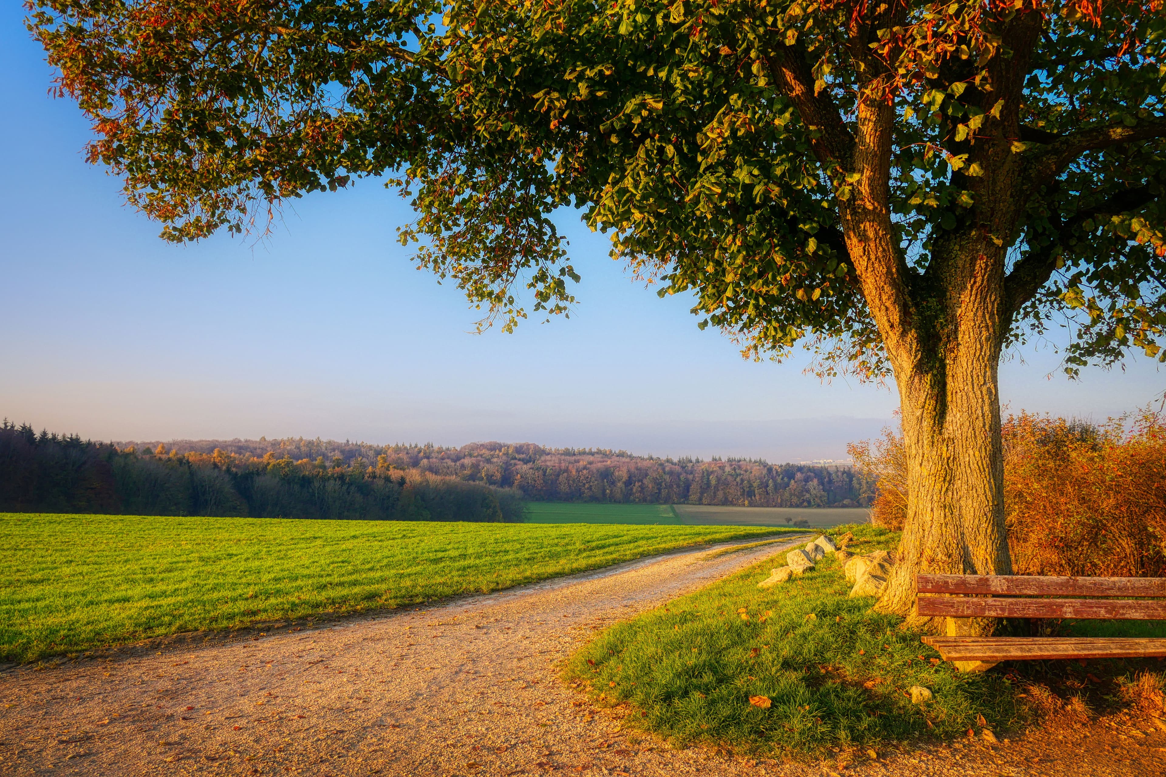 Mozart – A Day in Harmony