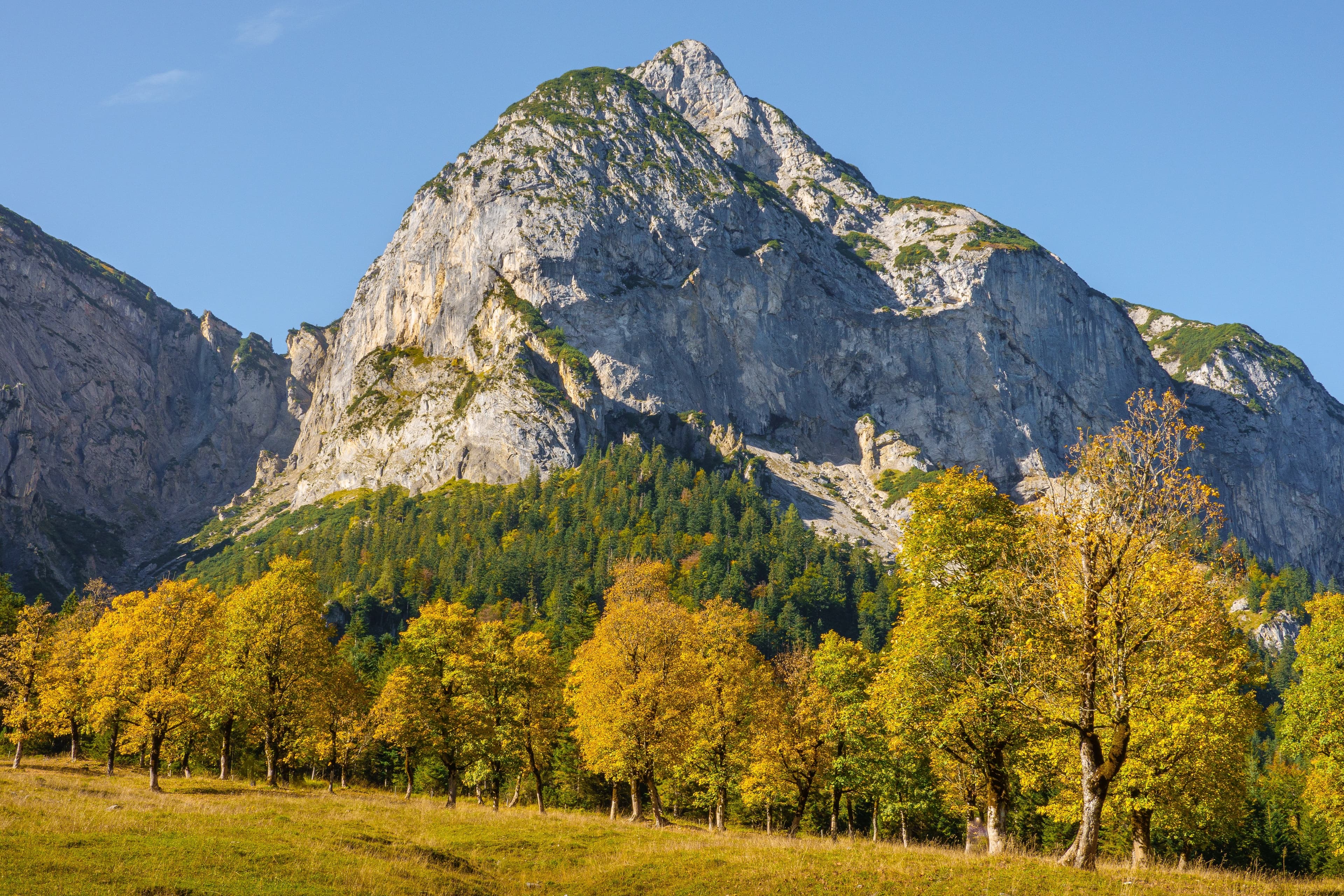 Classical Music for Calm Autumn